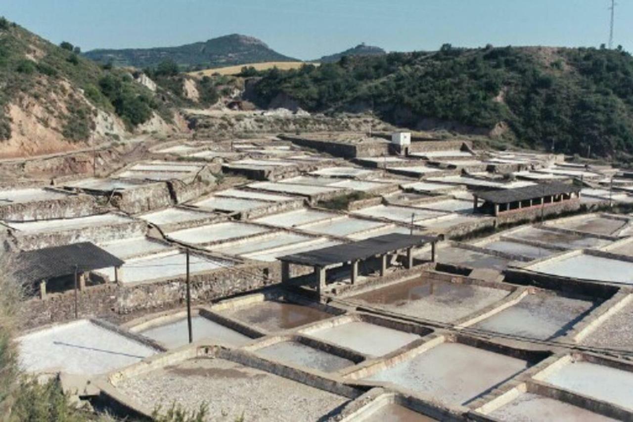 Casa Del Bueno Leilighet Peralta de la Sal Eksteriør bilde